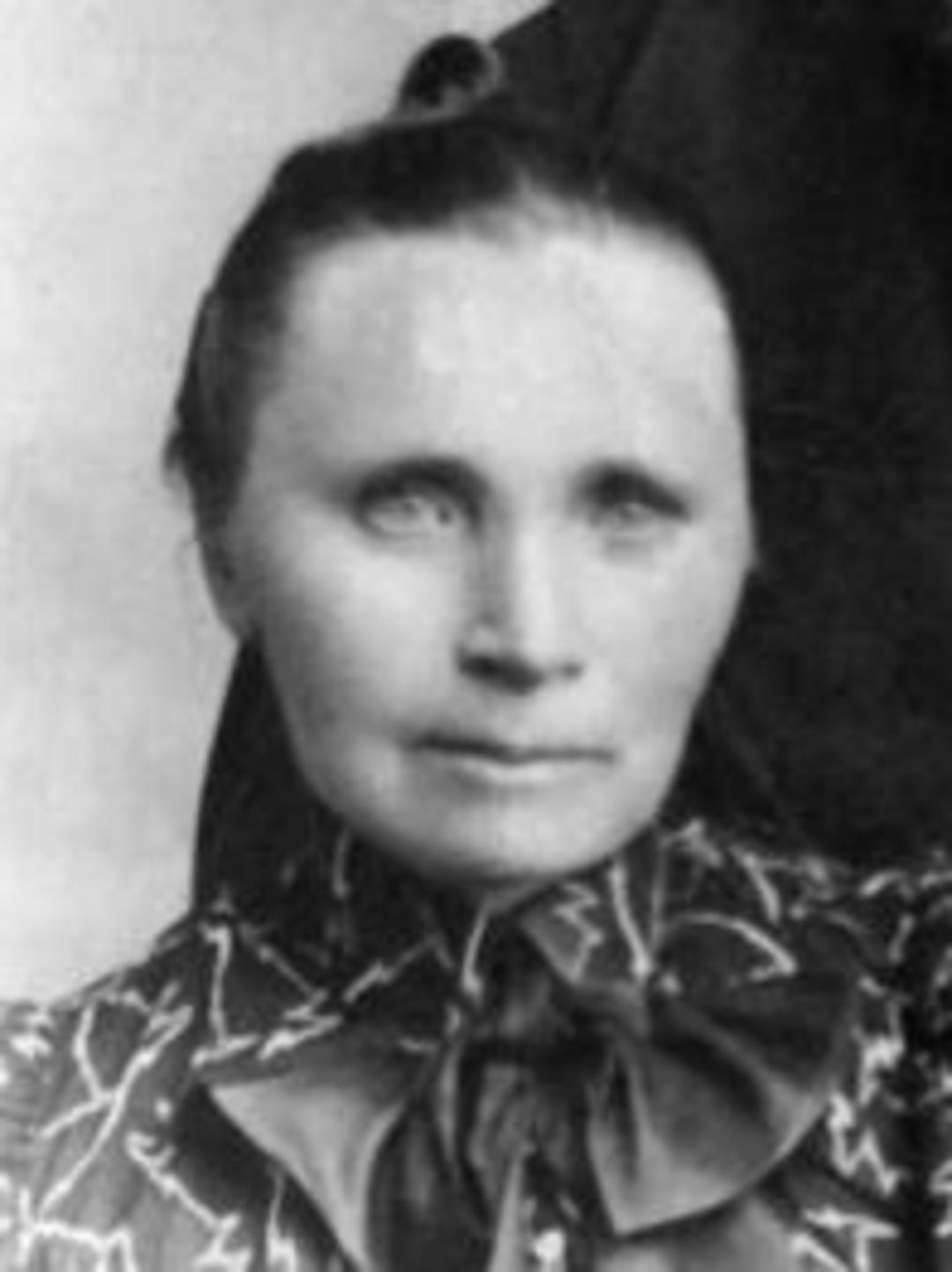 Anna Jacobsen Knopp (1844 - 1909) Profile